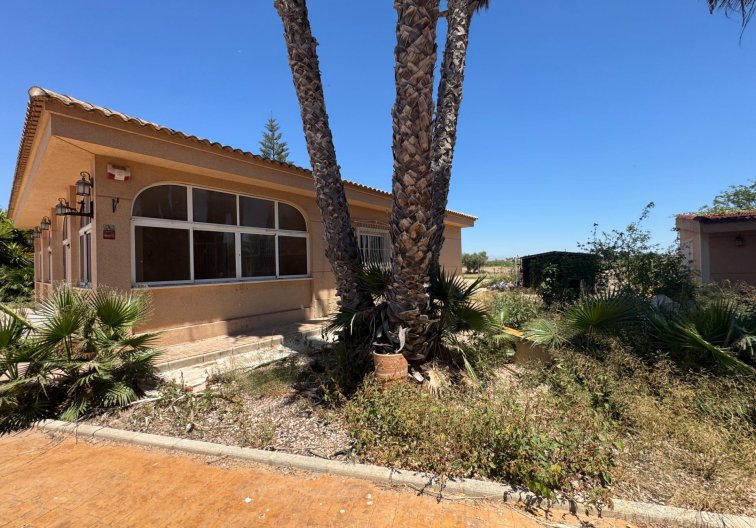 Segunda mano - Finca - Dolores - Comunidad Valenciana