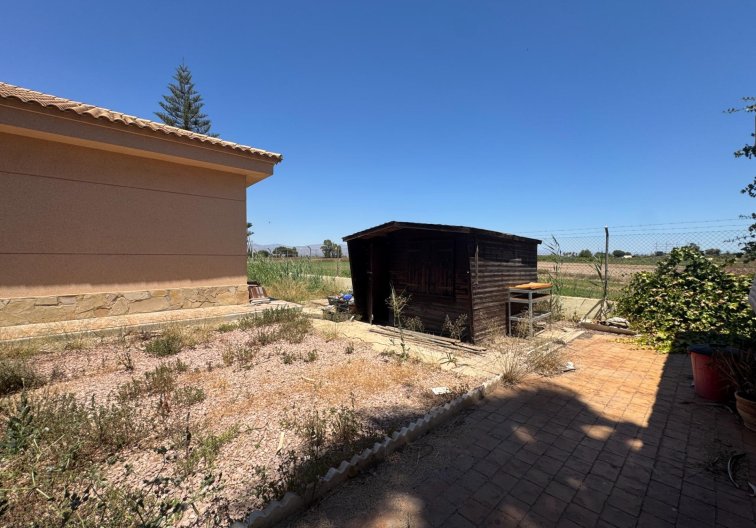 Segunda mano - Finca - Dolores - Comunidad Valenciana