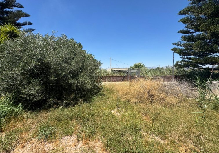 Segunda mano - Finca - Dolores - Comunidad Valenciana
