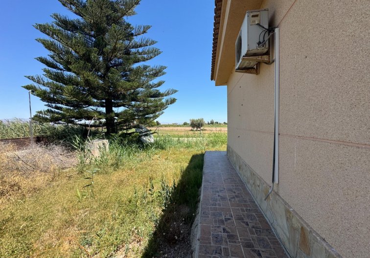 Segunda mano - Finca - Dolores - Comunidad Valenciana