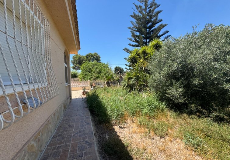 Segunda mano - Finca - Dolores - Comunidad Valenciana