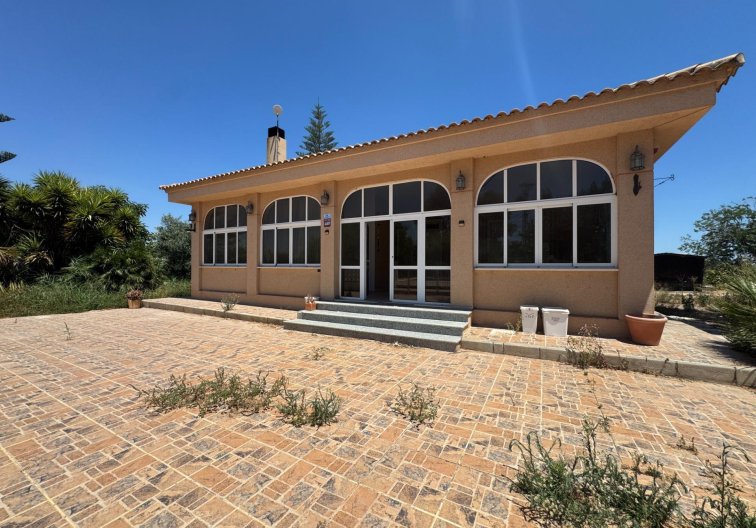 Segunda mano - Finca - Dolores - Comunidad Valenciana
