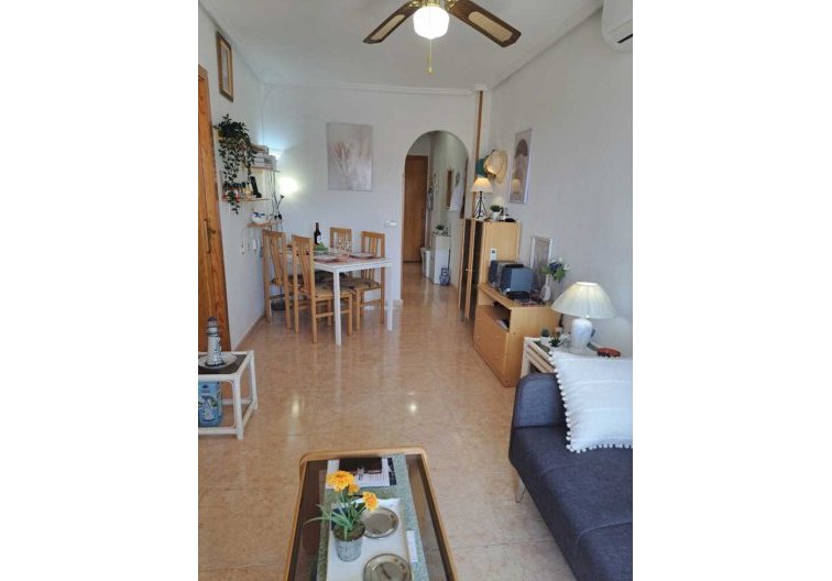 Segunda mano - Apartamento  - Torrevieja