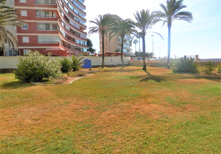 Segunda mano - Apartamento  - Calpe - Costa Blanca