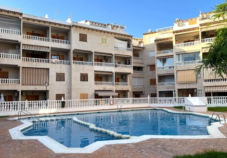 Segunda mano - Apartamento  - Torrevieja - Playa de los Locos