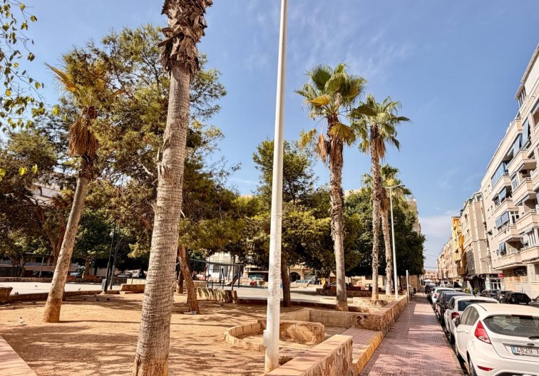 Segunda mano - Apartamento  - Torrevieja - Playa del Cura