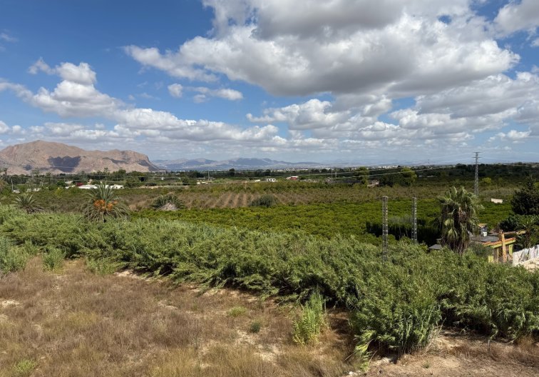 Revente - Appartement - Jacarilla - Inland