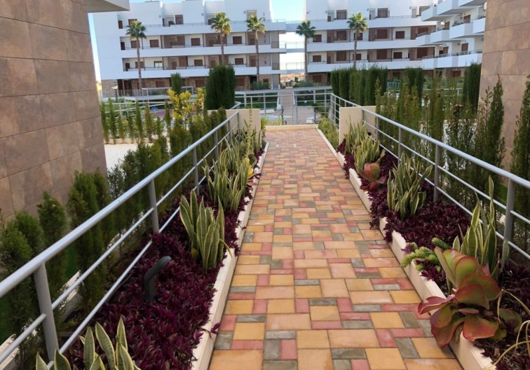 Revente - Appartement - Cabo Roig - Costa Blanca