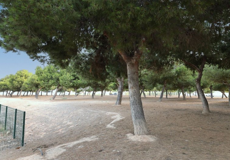 Segunda mano - Bungalow - San Pedro del Pinatar - Costa Calida