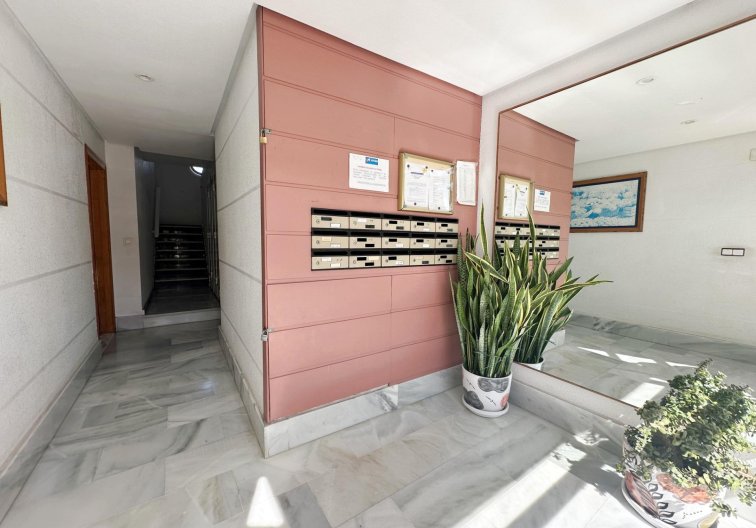 Segunda mano - Apartamento  - Torrevieja - Playa del Cura