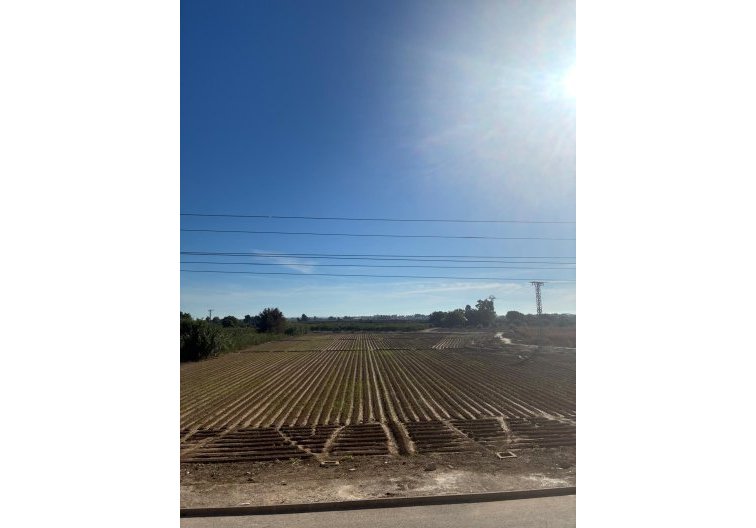 Segunda mano - villa - Almoradí - El Banet