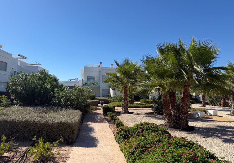 Segunda mano - Apartamento  - Orihuela Costa - Costa Blanca