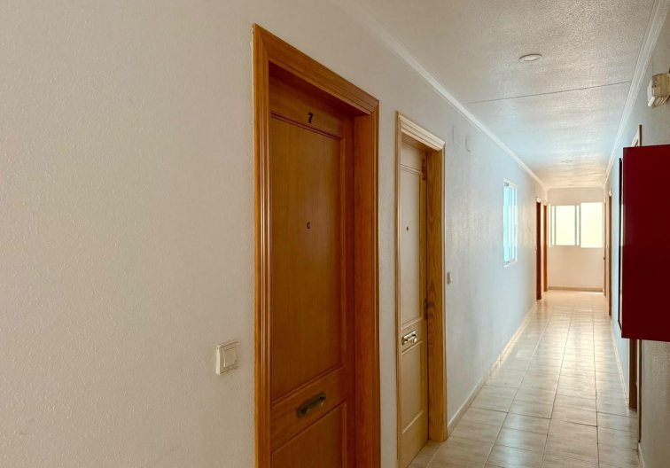 Segunda mano - Apartamento  - Torrevieja - Playa de los Locos