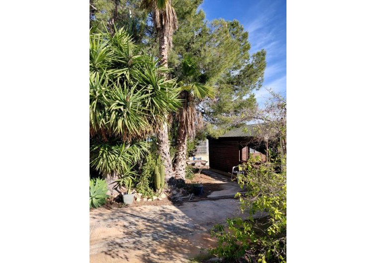 Revente - Maison de campagne - Orihuela - Inland