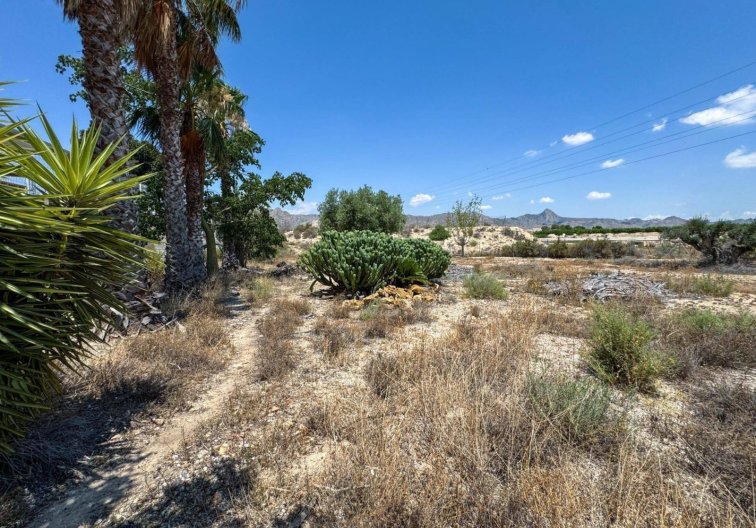 Revente - Maison de campagne - Orihuela - Inland