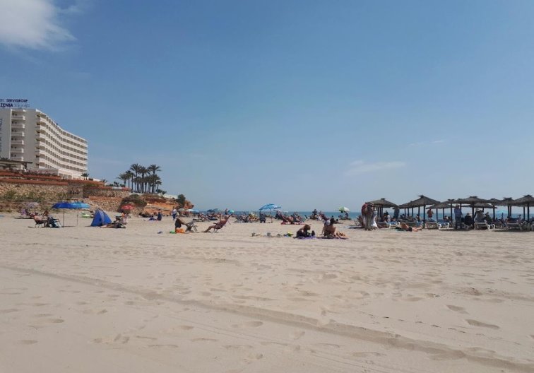 Segunda mano - Apartamento  - Orihuela Costa - Costa Blanca