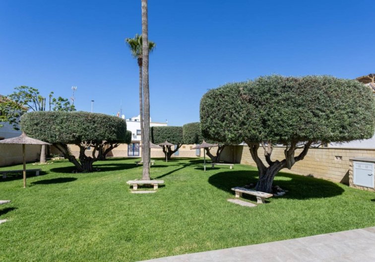 Segunda mano - Apartamento  - Torrevieja - Costa Blanca