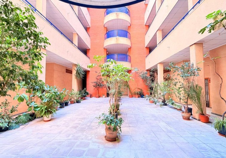 Segunda mano - Apartamento  - Torrevieja - Acequion