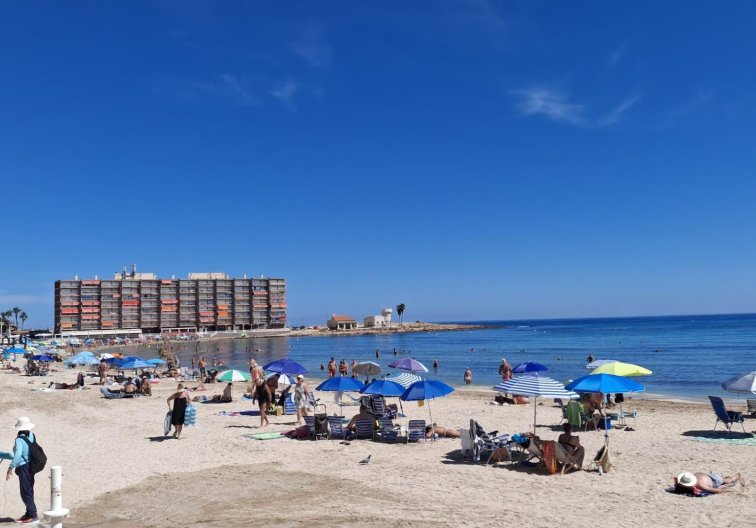 Segunda mano - Apartamento  - Torrevieja - Playa de los Locos
