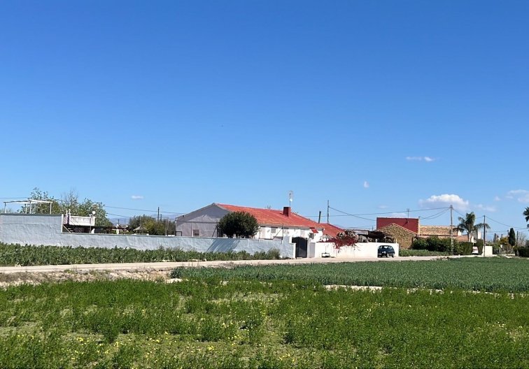 Segunda mano - villa - Dolores - Comunidad Valenciana