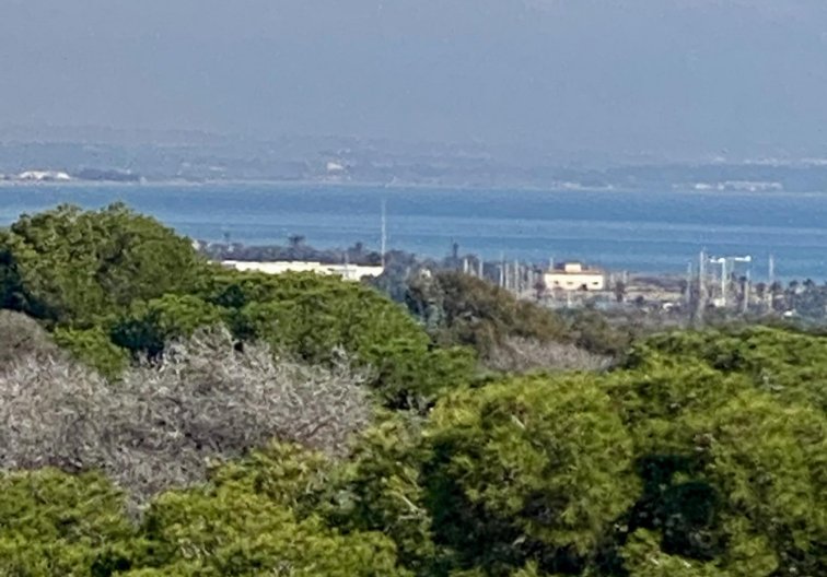 Obra Nueva - Atico - Guardamar del Segura - Centro