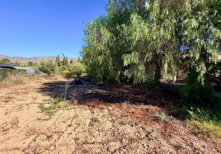 Revente - villa - Crevillent - Inland