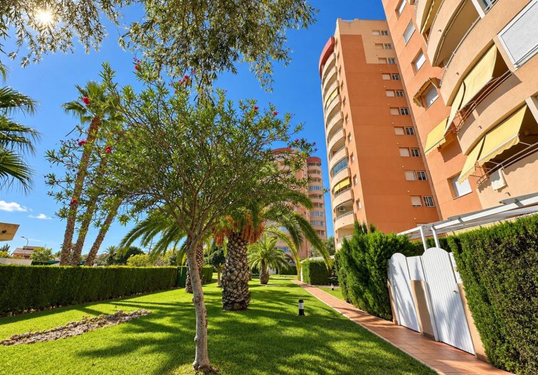 Segunda mano - Apartamento  - Orihuela Costa - Campoamor