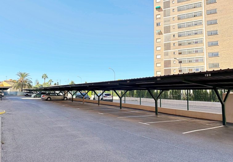 Segunda mano - Apartamento  - Orihuela Costa - Campoamor