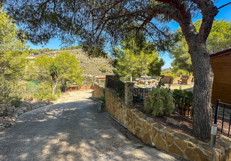 Revente - Finca - San Miguel de Salinas - Inland