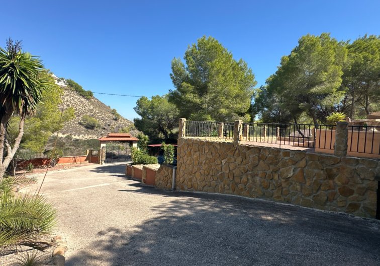 Revente - Finca - San Miguel de Salinas - Inland