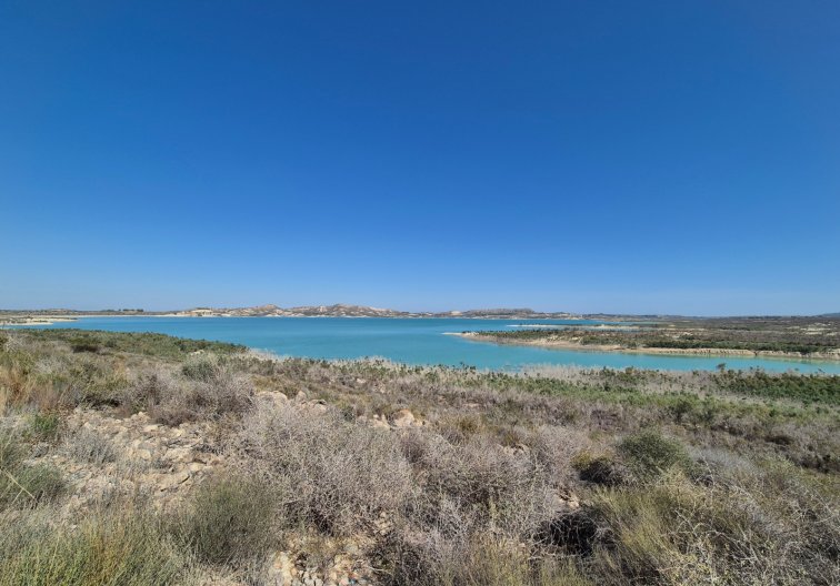 Revente - Finca - San Miguel de Salinas - Inland