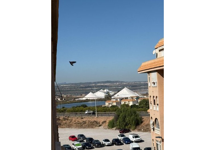 Herverkoop - Appartement - Torrevieja - Parque De Las Naciones