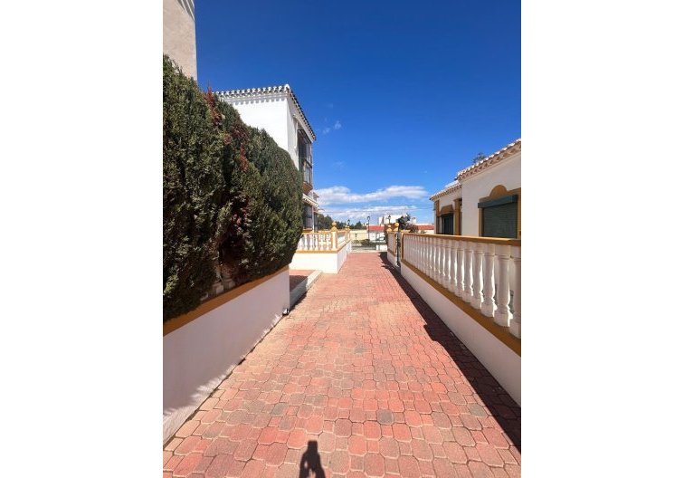 Segunda mano - Bungalow - Torrevieja - Torre La Mata
