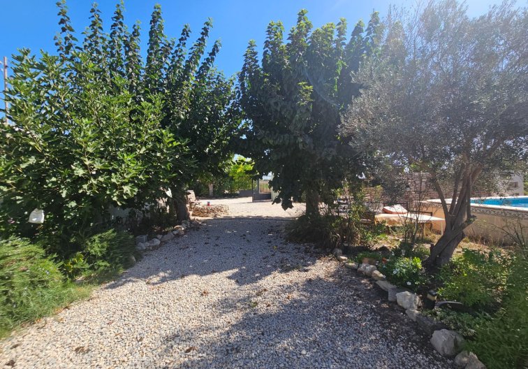 Segunda mano - villa - Orihuela - Molins-campaneta-san Bartolomé