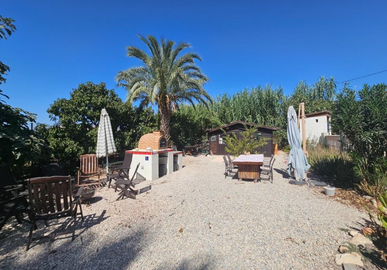 Segunda mano - villa - Orihuela - Molins-campaneta-san Bartolomé
