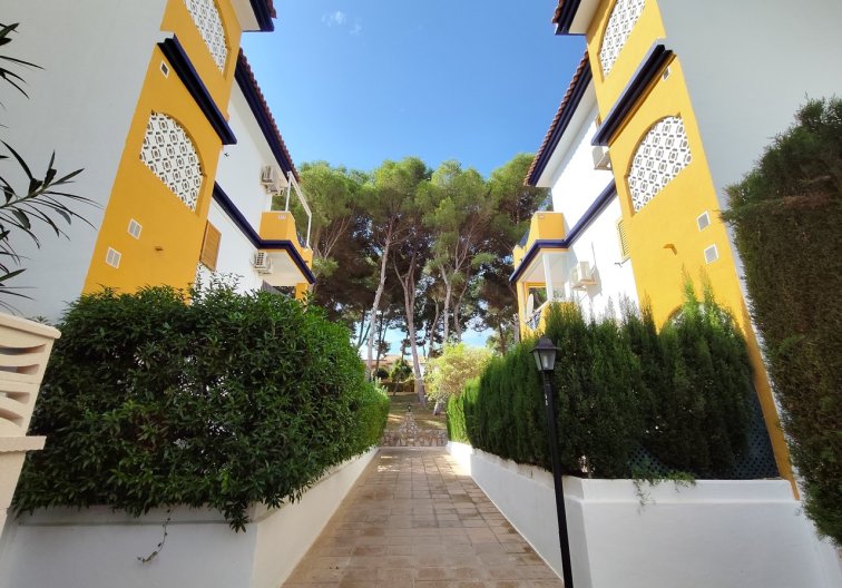 Segunda mano - Apartamento  - Mil Palmeras - Costa Blanca