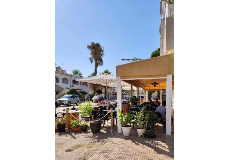 Segunda mano - Apartamento  - Orihuela Costa - La Regia