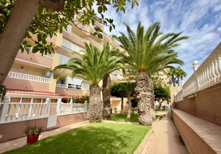 Revente - Appartement - Guardamar del Segura - Urbanizaciones