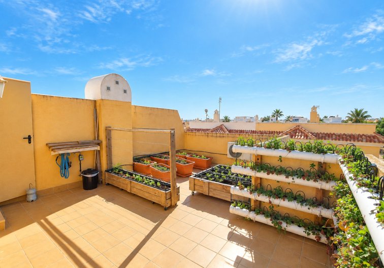 Segunda mano - town house - Ciudad Quesada - Costa Blanca