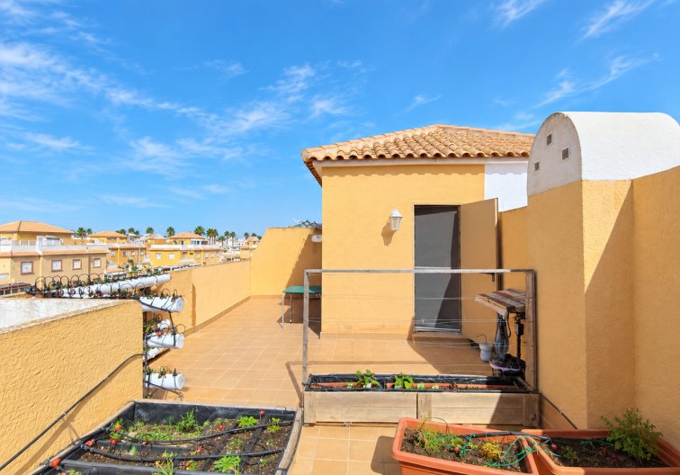 Segunda mano - town house - Ciudad Quesada - Costa Blanca