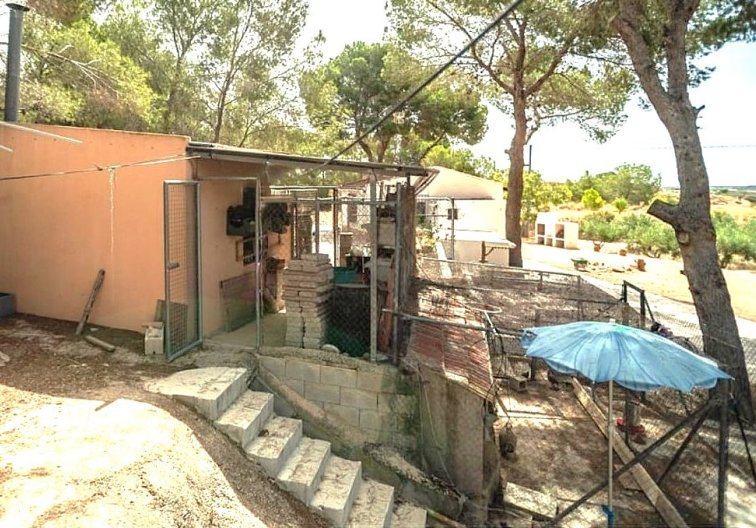 Segunda mano - Finca - Murcia - Inland