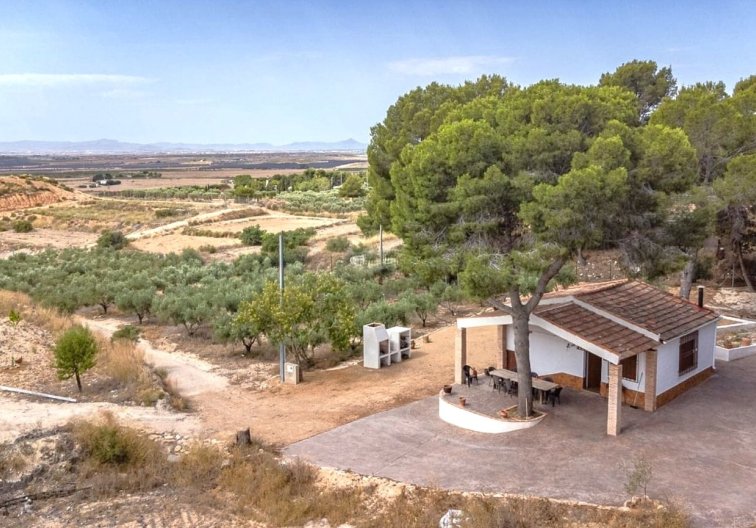 Segunda mano - Finca - Murcia - Inland
