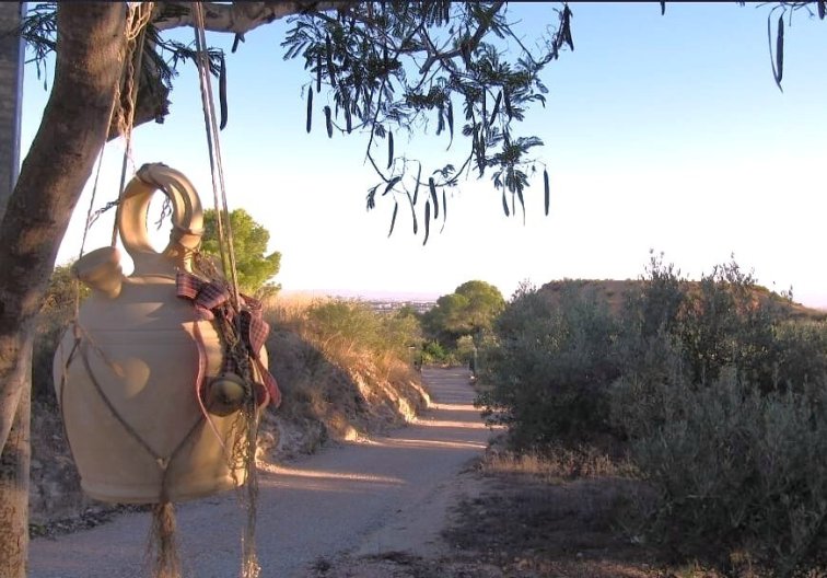 Segunda mano - Finca - Murcia - Inland