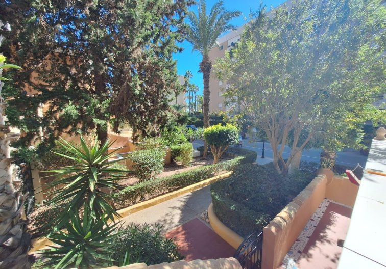 Segunda mano - Apartamento  - Torrevieja - Los Frutales
