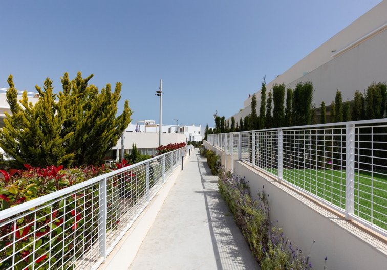 Segunda mano - Apartamento  - Torrevieja - Costa Blanca