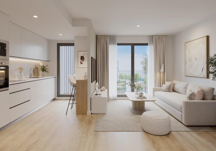 Obra Nueva - Atico - Alicante - San Agustín