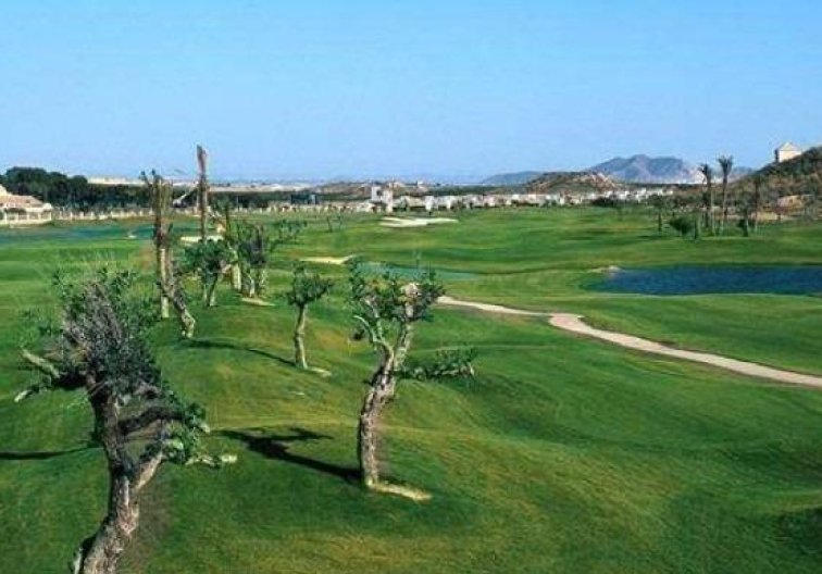 New Build - villa - Sucina - Peraleja Golf