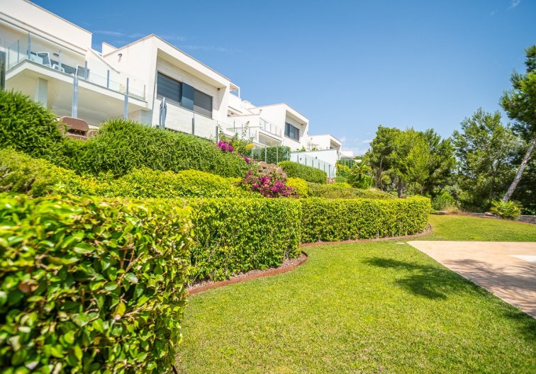 Segunda mano - Apartamento  - Pilar de la Horadada - Costa Blanca