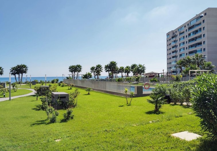 Segunda mano - Apartamento  - Orihuela Costa - Punta Prima