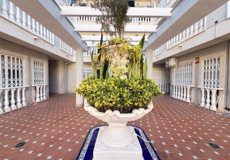 Segunda mano - Apartamento  - Torrevieja - Playa de los Locos